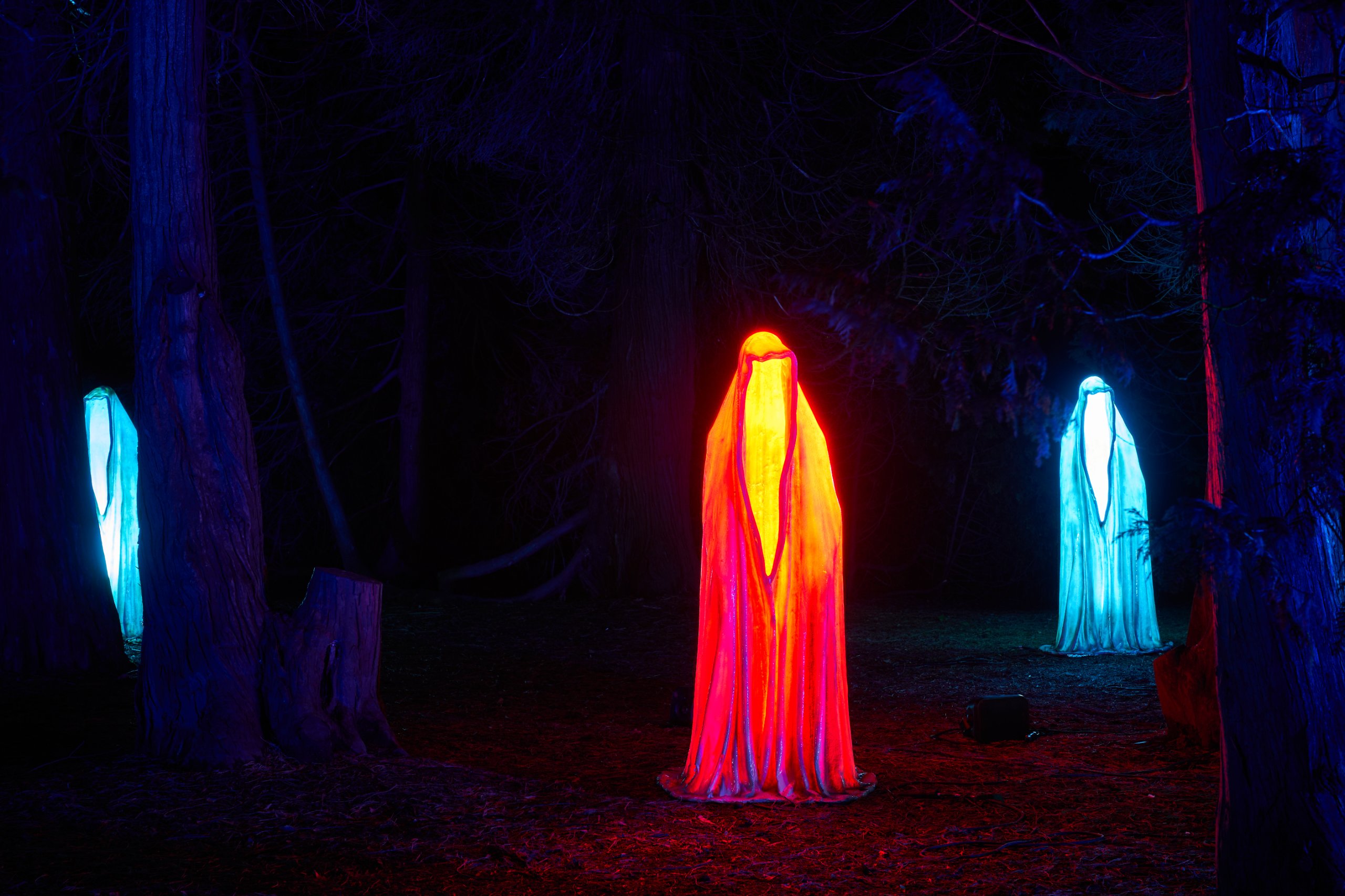 2023 01 24 Parkleuchten 0585